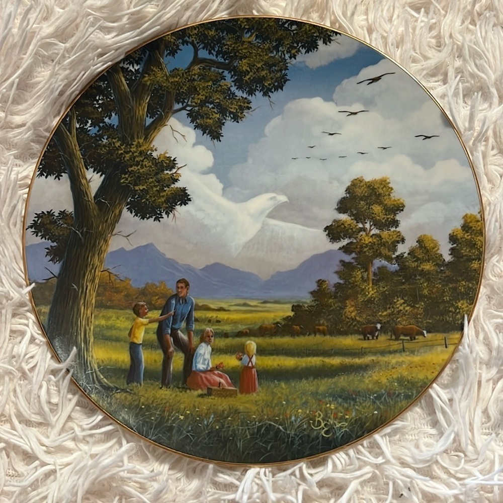 Spacious skies collective plate